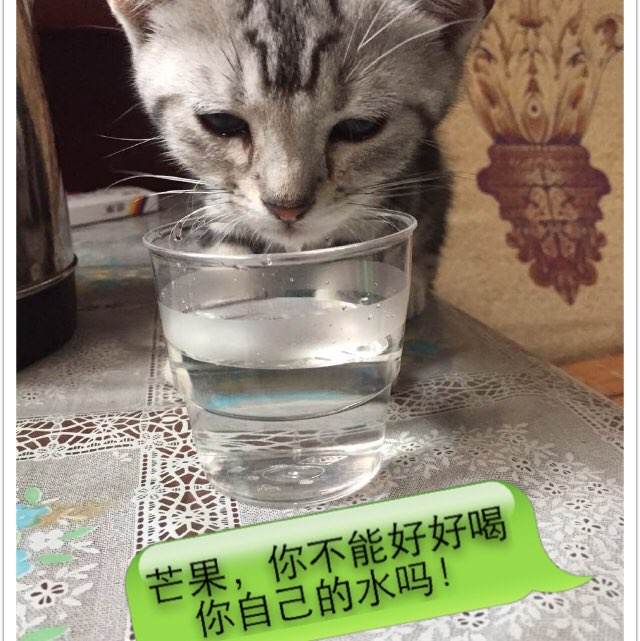 勃鲁克学院本科offer