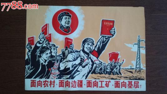 初级会计证书学历信息怎么填